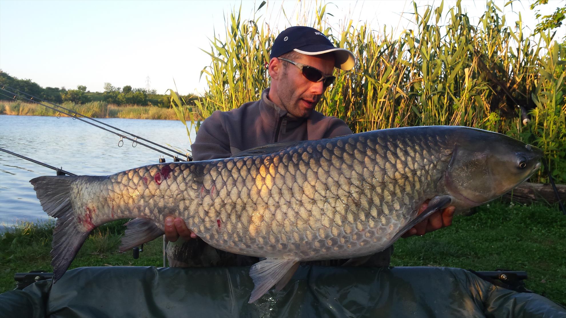 Tancabesti 5 - 6 iunie 2015 - 20150606060617.jpg